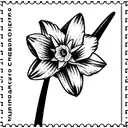 welsh daffodil post stamp tattoo design idea