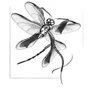 a dragonfly tattoo design idea