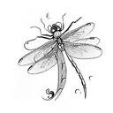 a dragonfly tattoo design idea