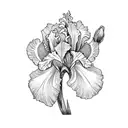 iris flowers  tattoo design idea