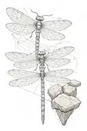dragonfly wings, crack with bandaid, piled rocks in balance, metal rod tattoo design idea