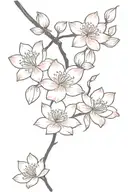 black long stem, pink cherry blossoms and lotus flowers emerging and pink cherry blossom petals falling  tattoo design idea