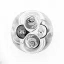 yin yang with monkey tattoo design idea