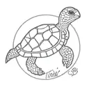 Word COCOCULA that is written in a form of a tortuga tattoo design idea