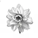 daffodil and chrysanthemum  tattoo design idea
