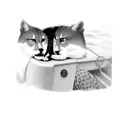 Taylor swift looking sad on a boat with the text "I might be okay, but I'm not fine at all" tattoo design idea