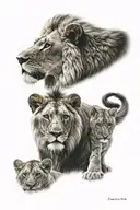 realistic lions head facing forward with a male and a female cub tattoo design idea