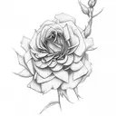 rose,chrysanthemum,honeysuckle,aster tattoo design idea