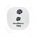 blackberry tattoo design idea