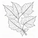 sycamore leaf and seed pods tattoo design idea