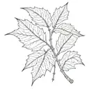 sycamore leaf and seed pods tattoo design idea