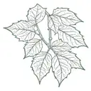 sycamore leaf and seed pods tattoo design idea