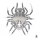 Spider tattoo design idea