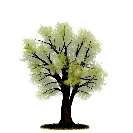 willow tree branch tattoo design idea