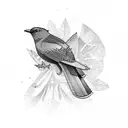 Steller's jay tattoo design idea