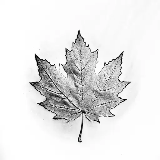Three maple leafs  tattoo design idea