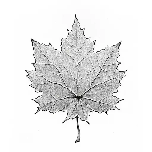 Three maple leafs  tattoo design idea