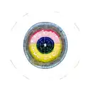 A force graph from a differential equation  tattoo design idea