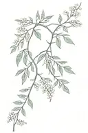 vine with small mimosa flowers growing feminine  tattoo design idea