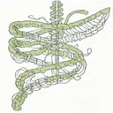 ribbon spinal cord connected tattoo design idea