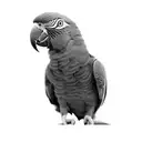 parrot tattoo design idea