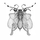 grasshopper  tattoo design idea