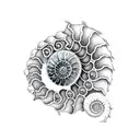 Ammonite tattoo design idea