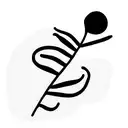 fiddlehead fern tattoo design idea