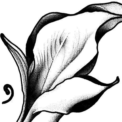 calla Lily  tattoo design idea