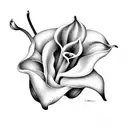 calla Lily  tattoo design idea