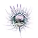 thistle tattoo design idea