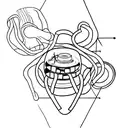 Franklin's experiment tattoo design idea