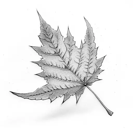 red maple leaf tattoo design idea