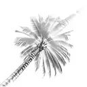 Palm Tree tattoo design idea