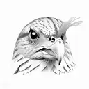 Egyptian Eagle, Solomons Turtle, Fighting Kiwi tattoo design idea