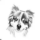 australian shepherd tattoo design idea