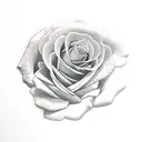 Latina woman and roses tattoo design idea