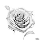 Latina woman and roses tattoo design idea