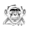 Monkey on scooter, programmer tattoo design idea