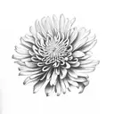 Chrysanthemum tattoo design idea