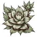 agave plant tattoo design idea