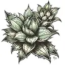 agave plant tattoo design idea