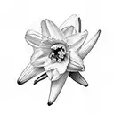 daffodil paperwhites and holly bouquet tattoo design idea