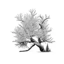 tree, juniper branch, mountain laurel tattoo design idea