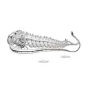 bahama tattoo design idea