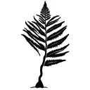 Fern Tree tattoo design idea