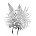 Fern Tree tattoo design idea