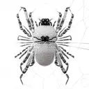 Alian spider going down on web string, black and white, realism, detalised, hdr, best quality tattoo design idea