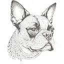 boston terrier tattoo design idea