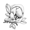 branch of a magnolia tree with leaves and blossoms in golden ratio tattoo design idea